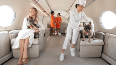 How to book a Luxury Private Jet in Dubai?