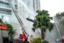 telecom security contact numbers