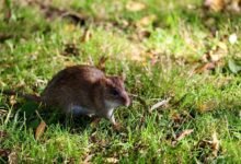 telecommunication contact numbers list